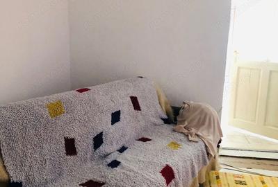 Casă cu 2 camere în Brâncoveanu - 14