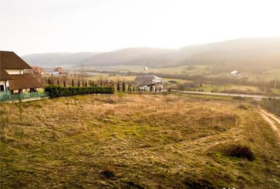 Teren de 560 mp, în Betfia - 6