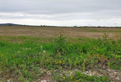 Teren Osorhei, Str. 610 - 7