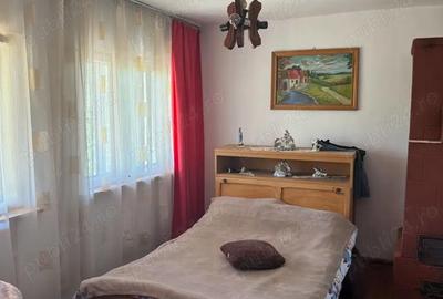 Casă cu 4 camere cu Teren 3200 Mp în Păltinișu - 10