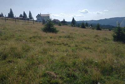 Teren de 8640 mp, în Beliș - 6