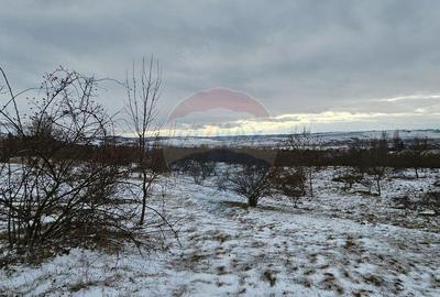 Teren de 10000 mp, în Rădășeni - 9