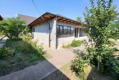 Casă cu Teren 1233 Mp în Odaia Manolache - 2