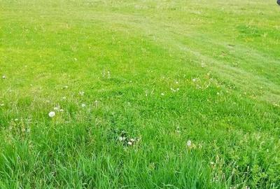 Teren intravilan P.Neamt - 5