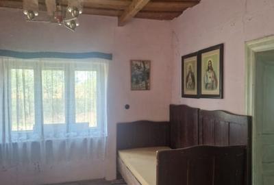 Terenuri arabile + teren intravilan cu casă – Teghea, Satu Mare Terenuri arabile + teren intravilan cu casă – Teghea, Satu Mare - 2