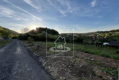 Teren la poalele Cetății Cisnadioarei de vânzare/1250 mp - 1