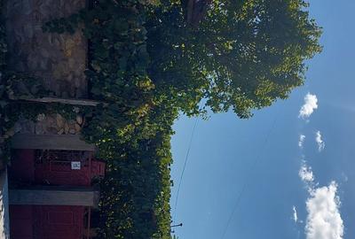 Casă cu 3 camere în Central - 5