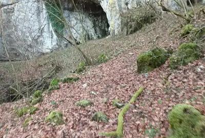 Casa si teren de vanzare - 3