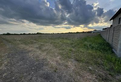 Teren Intravilan Becicherecu Mic ,776 mp,Fs. 17,5m Teren Intravilan Becicherecu Mic ,776 mp,Fs. 17,5m - 2