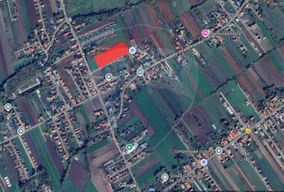 Teren intravilan 10.000 mp in Stupini, Brasov - 9