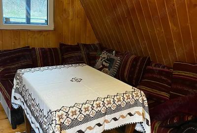 Cabana de vanzare - 6