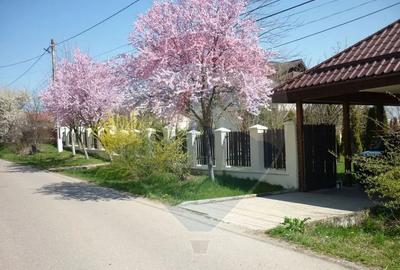 Casă cu 5 camere cu Teren 1922 Mp în Ciofliceni - 8