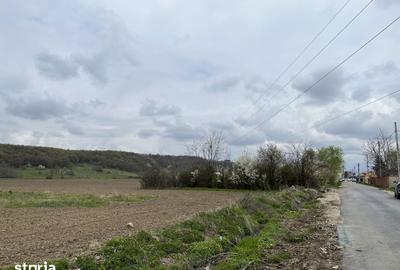 Teren de 2547 mp, în Vălenii de Munte - 1