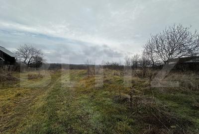 Teren intravilan, 4000 mp, zona Calnic - 1