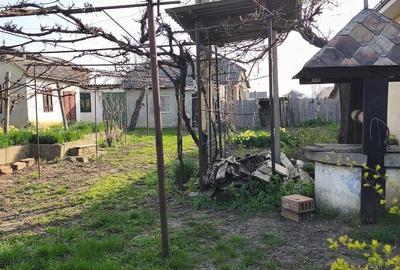 Teren de 1000 mp, în Izvoarele - 3