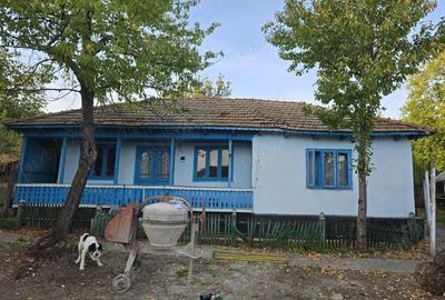Casă cu 4 camere cu Teren 2400 Mp în Corbu - 4