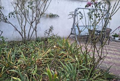 ULTRCENTRAL CASA CU 3 CAMERE ST 130 MP PRET 130000 EURO ULTRCENTRAL CASA CU 3 CAMERE ST 130 MP PRET 130000 EURO - 8