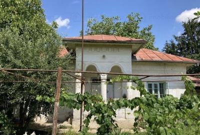 Teren de 3389 mp, în Leu - 7