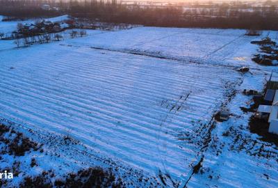 Spațiu comercial, în Șag - 1