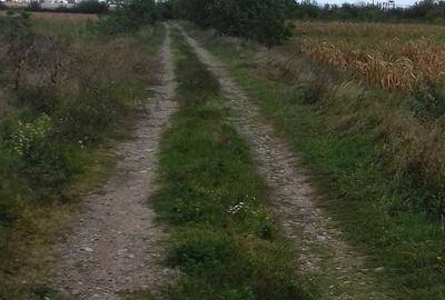 Spațiu comercial, în Cartierul Dâmbu - 2