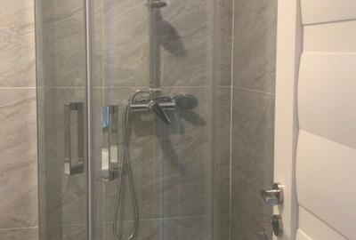 Apartament cu 2 camere semidecomandat în Valea Lupului - 2