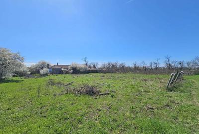 Spațiu comercial, în Topraisar - 1