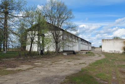 Vand Fost Complex de porci - 2