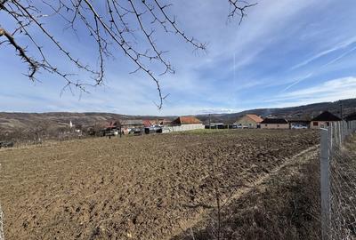 Teren de 3082 mp, în Copăcel - 5