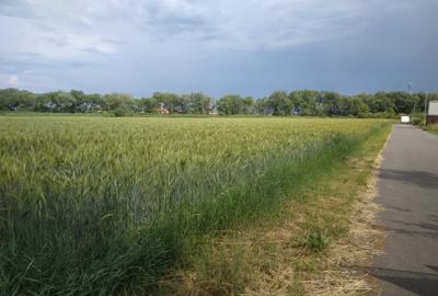 Teren Construcții intravilan de 628 mp, în Stupini