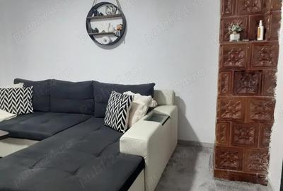 Vanzare Casa caramida, suprafata este de 200.mp., mobilata si utilata str. Grivitei - Pictor T Aman - 2