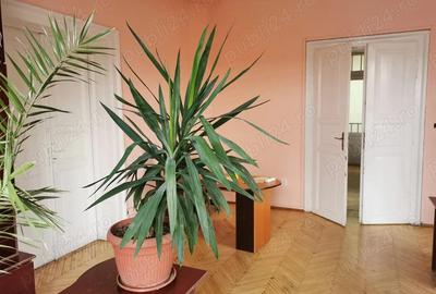 Spatiu ultracentral de birouri Str. Jean Calvin - 8