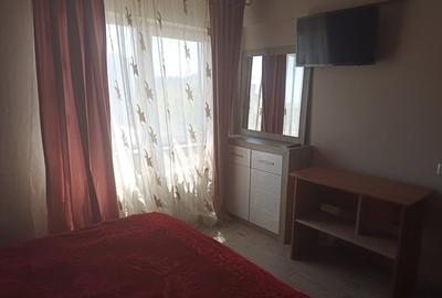 Apartament 2 camere de inchiriat City Park Mall - 10