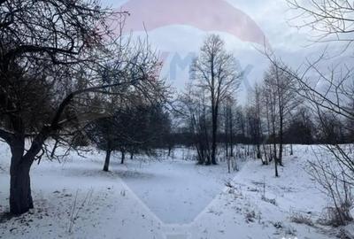 Teren de 10054 mp, în Mănăstirea - 3