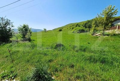 Teren de 5000 mp, în Viișoara - 2