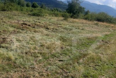 Teren extravilan 3300 mp, Car?i?oara- Set - 3