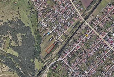 Teren de 3641 mp, în Băjani - 1
