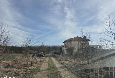 Spațiu comercial, în Balotești - 14