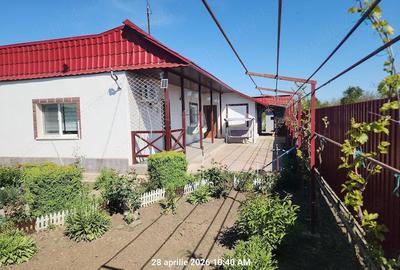 Casă în Tudor Vladimirescu - 8