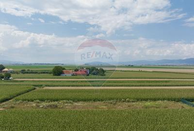 Teren de 1100 mp de vanzare in Stupini - 2