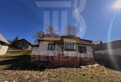 Casă cu 4 camere cu Teren 1615 Mp în Central - 12