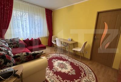 Apartament semidecomandat cu 2 camere, etajul 1, zona Nufarul - 3