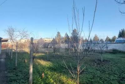 Casă cu 7 camere cu Teren 3800 Mp în Albert - 4