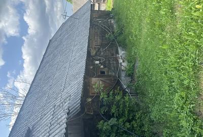 De vanzare casa la ?ara lini?te, natura ?i izvor de apa sarata! - 3