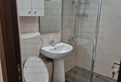 Apartament cu 2 camere în Giurgiului - 10