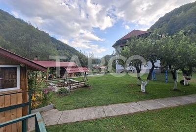 Spatiu de vanzare in Valea Macesului judel Valcea iesire la Lotru - 28