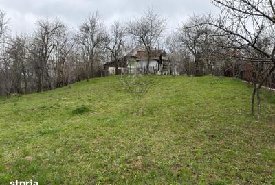 Teren de 1518 mp, în Șotrile - 14