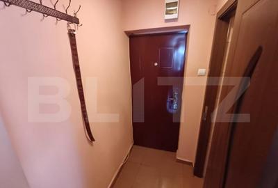 Apartament de inchiriat, cu 2 camere, zona Decebal - 14