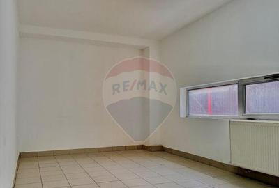 Spațiu comercial, de 450 mp, în Micălaca - 4