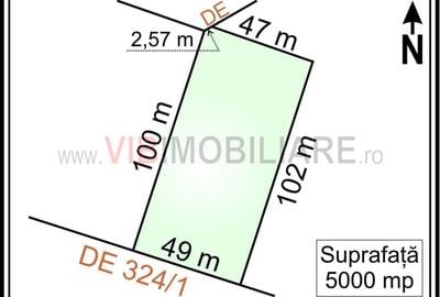 Mogosoaia - Ciupercarie, teren extravilan, suprafata 5.000 mp Mogosoaia - Ciupercarie, teren extravilan, suprafata 5.000 mp - 1