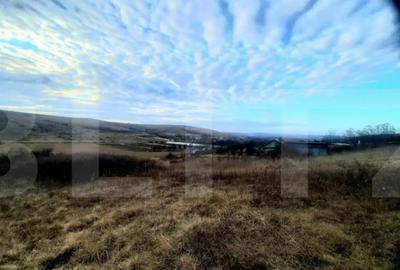 Teren de 2900 mp, în Sopor - 6